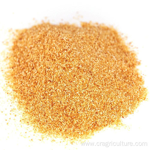 Roasted Garlic Powder High Quality Price